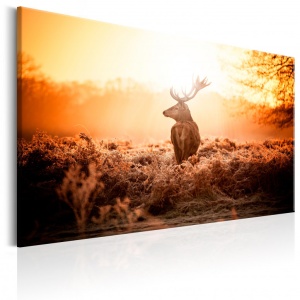 Πίνακας - Deer in the Sun 120x80 cm