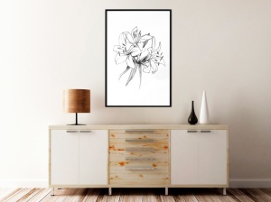 Πόστερ - Sketch of Lillies, με μαύρη κορνίζα, 30x45 cm - Img 2