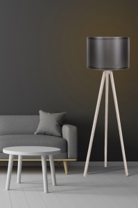 Φωτιστικό Δαπέδου 119 Μαύρο 25x38x145 cm
