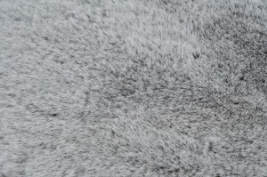 Χαλί forma animal Infinity Γκρι 60x90 cm - Img 5