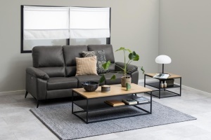 Canapea extensibila cu 3 locuri Rana, Gri, 103x215x99 cm