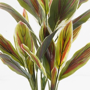 Διακοσμητικό φυτό με γλάστρα Cycas Πράσινο 55x55x80 cm - Img 2