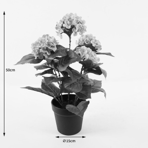 Διακοσμητικό φυτό με γλάστρα Hydrangea Απαλό Κίτρινο 35x35x50 cm - Img 4