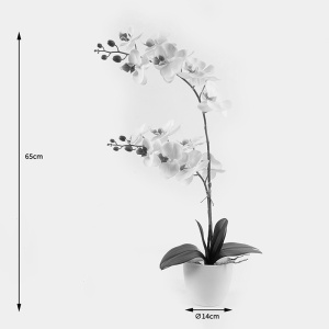 Διακοσμητικό φυτό με γλάστρα Orchid Λευκό 36x17x65 cm - Img 4