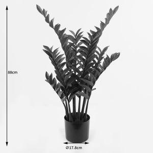 Διακοσμητικό φυτό με γλάστρα Zamia Πράσινο 52x52x88 cm - Img 4