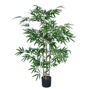 Διακοσμητικό φυτό Bamboo Pako World Μαύρο ύψος 130 cm
