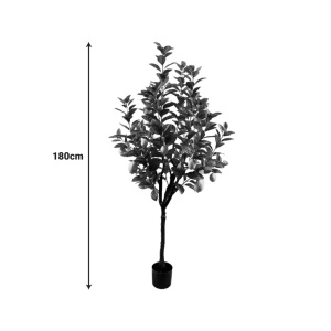 Διακοσμητικό φυτό Lemon tree Πράσινο 180x180x180 cm - Img 2