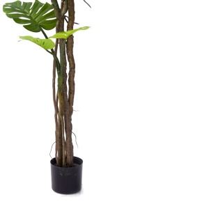 Διακοσμητικό φυτό Monstera III Pako World Μαύρο ύψος 180 cm - Img 3