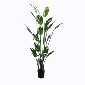 Διακοσμητικό φυτό με γλάστρα Lucky Πράσινο 80x80x210 cm