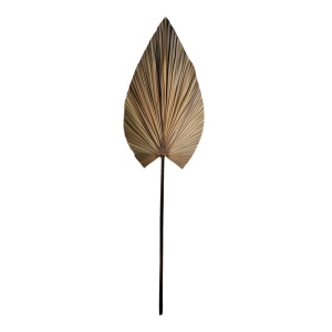 Διακοσμητικό φυτό Leafen Boho Pako World Natural 50x75x150 cm