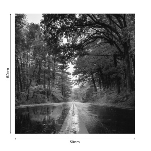 Πίνακας καμβά με ψηφιακή εκτύπωση Savgone 50x1.8x50 cm - Img 2