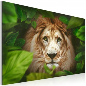 Πίνακας - Eyes of the jungle 90x60 cm