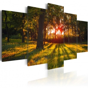 Πίνακας - In the shade of forest 200x100 cm