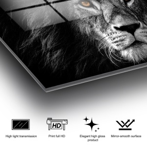 Πίνακας από σκληρυμένο γυαλί UV Πολύχρωμος 70x100 cm - Img 12
