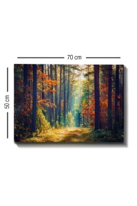 Πίνακας καμβά Πολύχρωμος 50x70x3 cm - Img 3