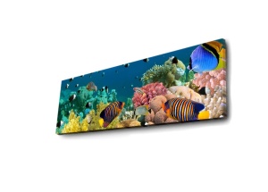 Πίνακας με LED 3090DACT Πολύχρωμο 30x90x3 cm - Img 5