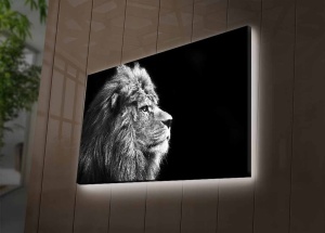 Πίνακας με LED 4570DHDACT Πολύχρωμο 45x70 cm - Img 3