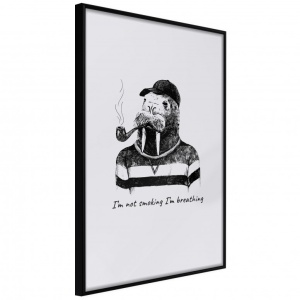 Πόστερ - Captain Walrus, με μαύρη κορνίζα, 40x60 cm