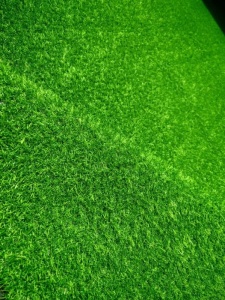 Gazon Artificial, Leisure, Verde, 300x2500 cm, Delta - Img 3