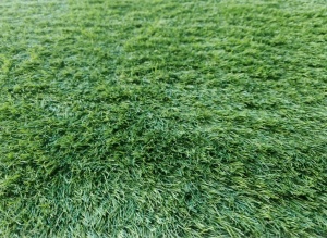 Gazon Artificial, Melx, Verde, 300x1300 cm, Delta - Img 3