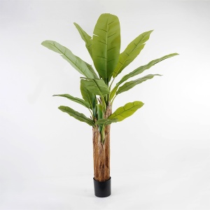 Διακοσμητικό φυτό με γλάστρα Banana Tree Πράσινο 53x53x190 cm