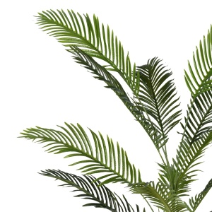 Διακοσμητικό φυτό Areca II σε γλάστρα πλαστικό PP πράσινο 150 cm - Img 2