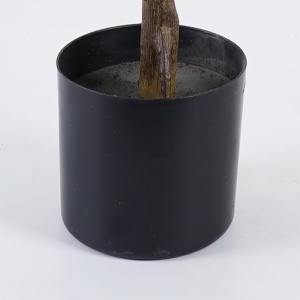 Διακοσμητικό φυτό Ficus Lyrata Πράσινο 70x70x130 cm - Img 3