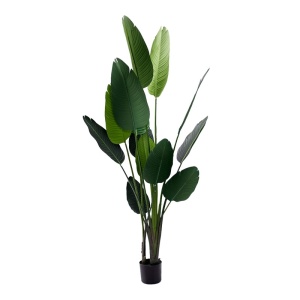 Διακοσμητικό φυτό Palm tree Πράσινο 180 cm