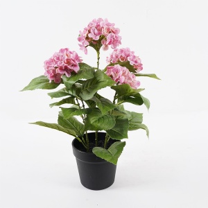 Διακοσμητικό φυτό με γλάστρα Hydrangea Απαλό Κίτρινο 35x35x50 cm
