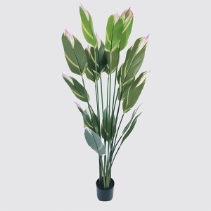 Διακοσμητικό φυτό με γλάστρα Lucky Πράσινο 80x80x180 cm