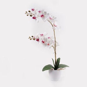 Διακοσμητικό φυτό με γλάστρα Orchid Λευκό 36x17x65 cm