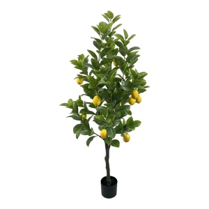 Διακοσμητικό φυτό Lemon tree Πράσινο 150 cm