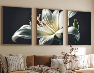Πίνακας, σετ 3 τεμαχίων Huhu224 Πολύχρωμος 50x70 cm
