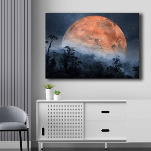 Πίνακας 70100NISC Πορτοκαλί 70x100 cm