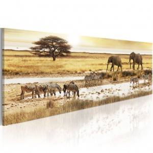 Πίνακας - Africa: at the waterhole 120x40 cm