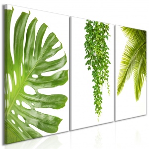 Πίνακας - Beautiful Palm Trees (3 Parts) 120x60 cm