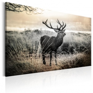 Πίνακας - Dangerous Horns 90x60 cm - Img 1