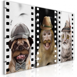 Πίνακας - Funny Pets (Collection) 60x30 cm