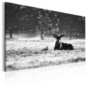 Πίνακας - Lying Deer 120x80 cm