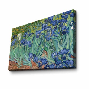Πίνακας Iridescence Plateau Πολύχρωμος 45x70 cm - Img 3