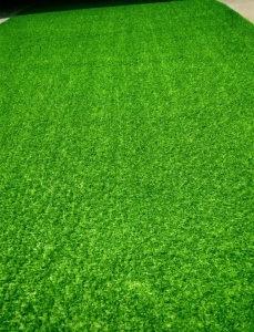 Gazon Artificial, Leisure, Verde, 100x1200 cm, Delta - Img 4