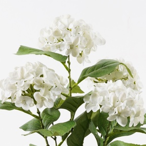 Διακοσμητικό φυτό με γλάστρα Hydrangea Πράσινο 35x35x50 cm - Img 2