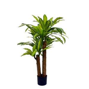 Διακοσμητικό φυτό Dracaena σε γλάστρα πράσινο πλαστικό PP H110 cm