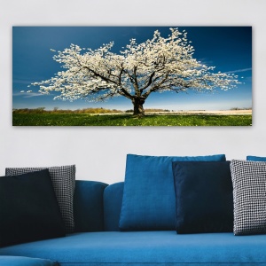 Πίνακας YTY1233464 Πολύχρωμος 50x120 cm