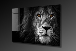 Πίνακας από σκληρυμένο γυαλί UV Πολύχρωμος 70x100 cm - Img 6