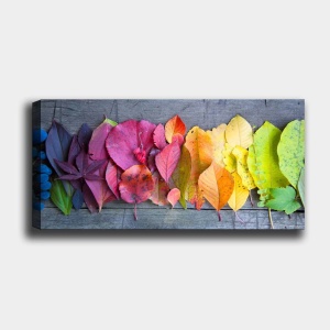 Πίνακας Bella Mira Πολύχρωμο 50x120 cm - Img 2
