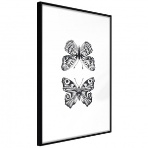 Πόστερ - Butterfly Collection I, με μαύρη κορνίζα, 30x45 cm