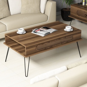 Τραπεζάκι σαλονιού Ekol - Walnut