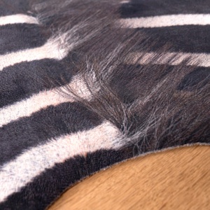 Χαλί forma animal My Toledo Zebra 155x190 cm - Img 7