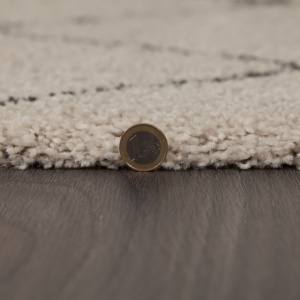 Χαλί Imari Πολύχρωμο 160x230 cm, Flair Rugs - Img 3